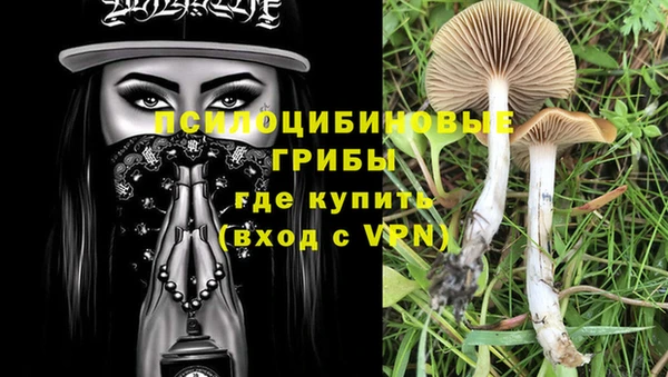 гашик Балахна