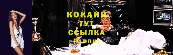 MDMA Новодвинск